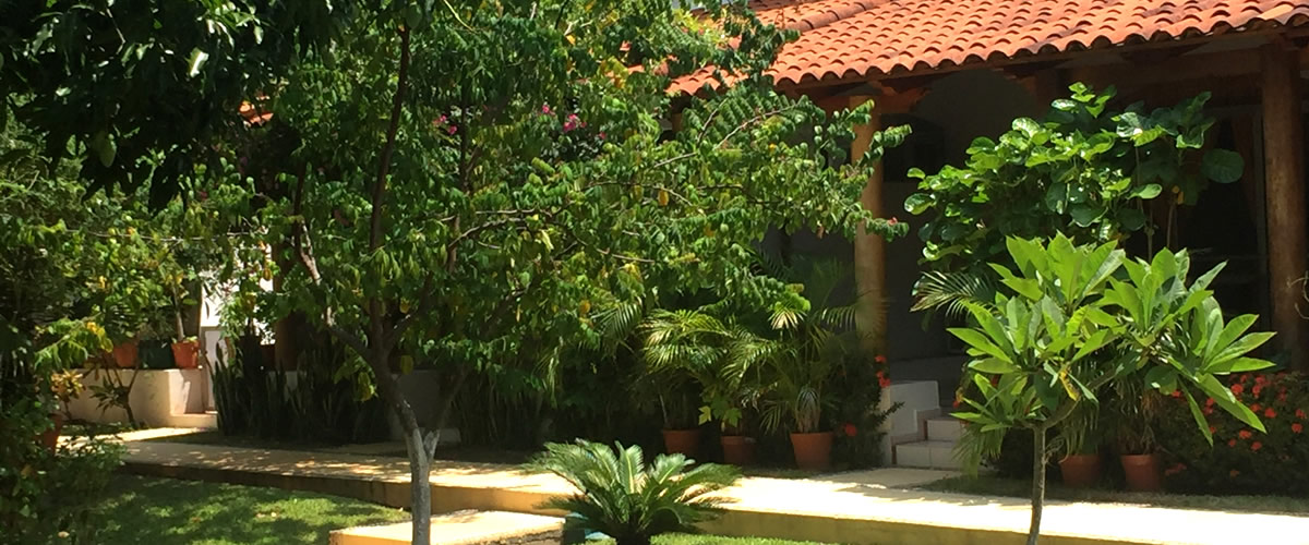 Apartments and houses for rent in Ixtapa, Zihuatanejo, Mexico